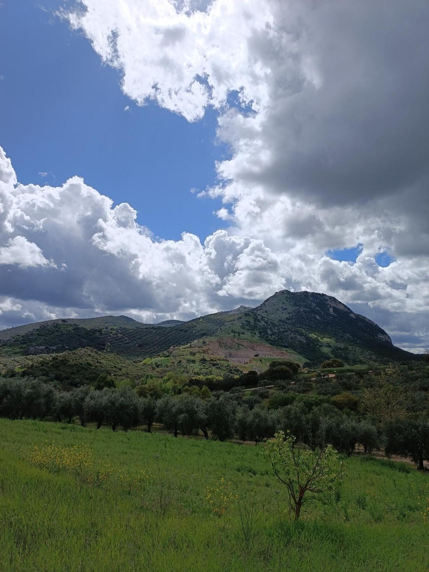 Cortijo Petra Bed & Breakfast Villanueva del Rosario Dış mekan fotoğraf