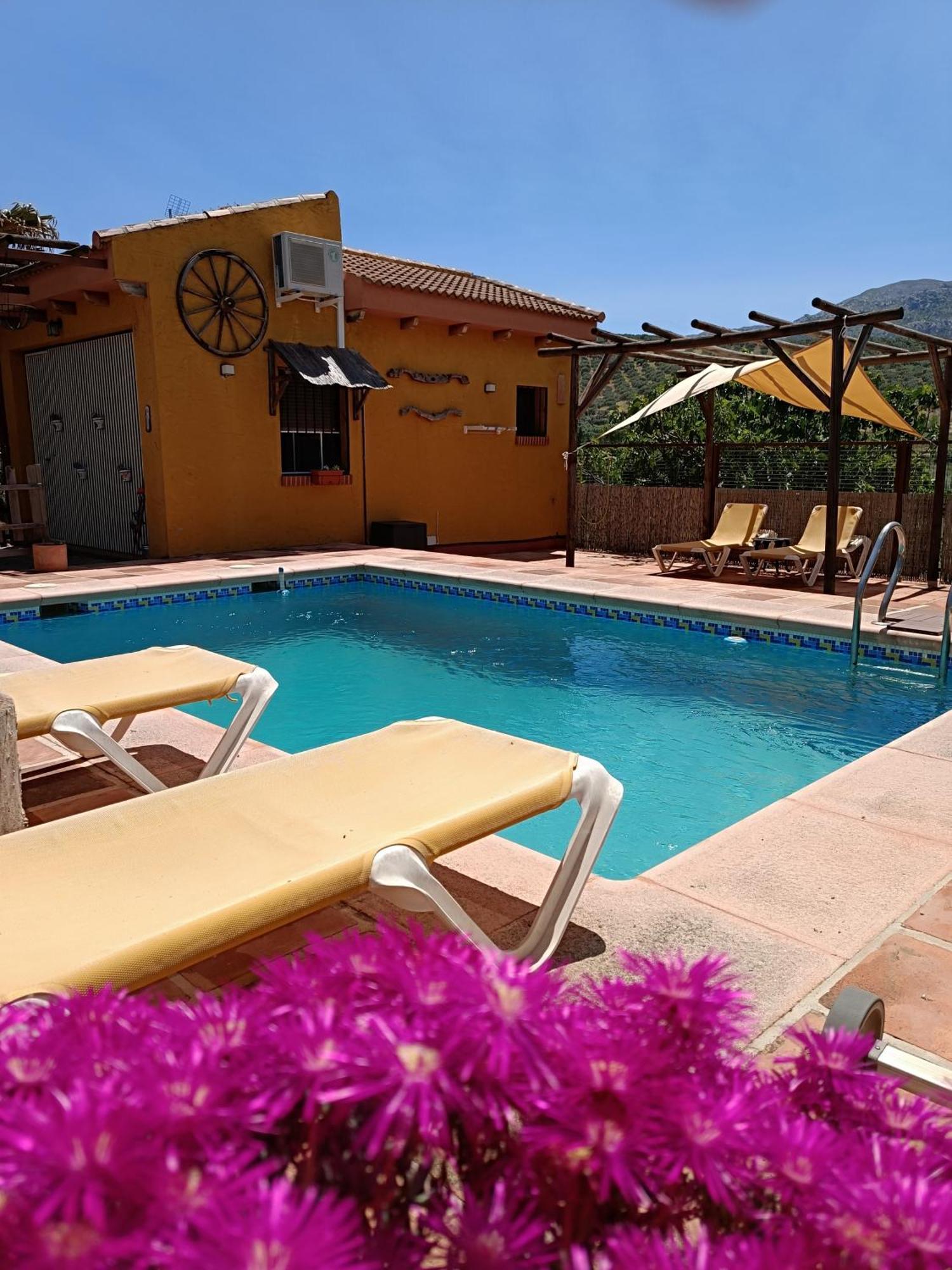 Cortijo Petra Bed & Breakfast Villanueva del Rosario Dış mekan fotoğraf